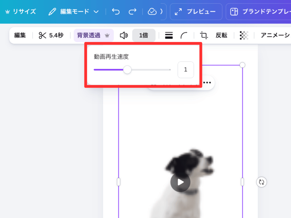 Canva 再生速度 調整